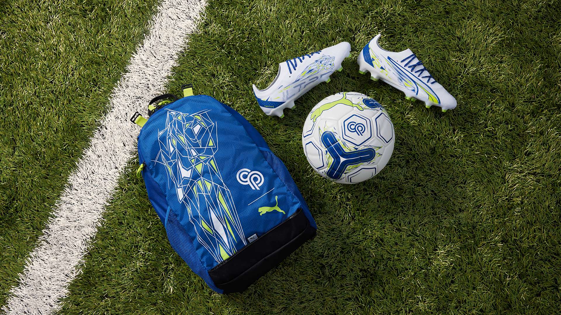 提醒我们即 提醒我们即