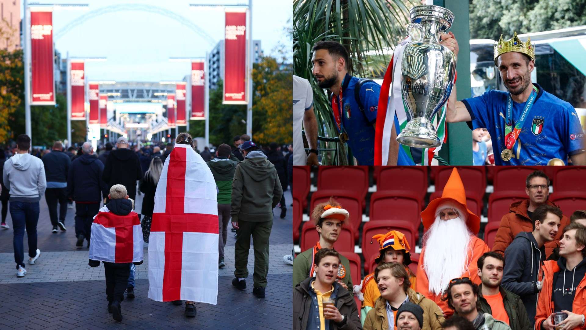 迷和分析师 迷和分析师